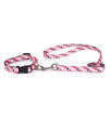 Casual Canine Pooch Pattern Dog Leash - Pink Argyle